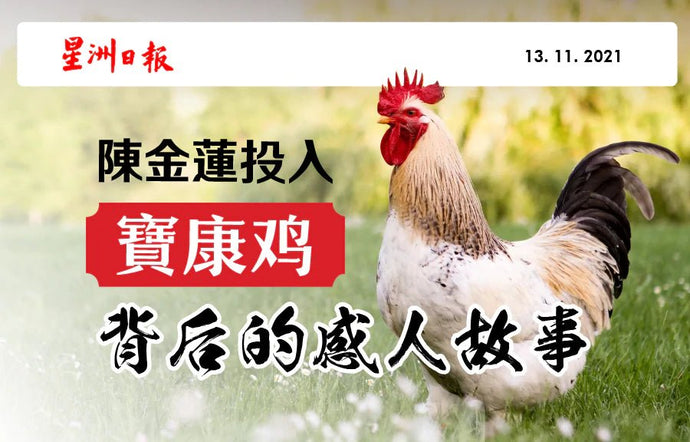 玛丽陈女士创办 Beacon Chicken 背后的感人故事