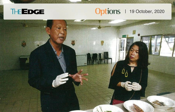 寻找方法通过增进鸡的健康来帮助他人。